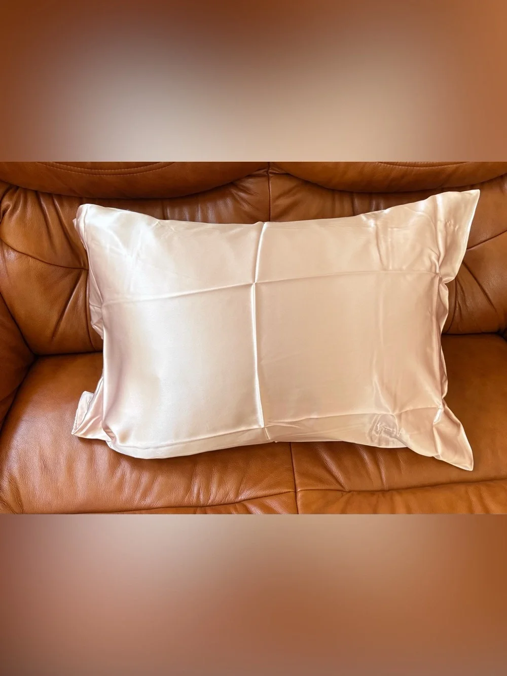 NWB 2 Pack Standard Silky Pillow Cases